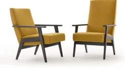 Design Fauteuils-Havee 1963 Fauteuil Geel