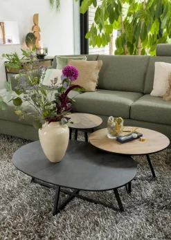 Ovale Salontafels-Henders en Hazel Avalon Ovaal Salontafel Antraciet
