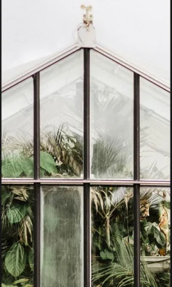 Wanddecoraties-Trendhopper Botanical Stories Wanddecoratie Multi
