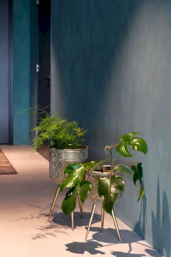 Vazen & Potten-Dutchbone Botanique Planthouder goud