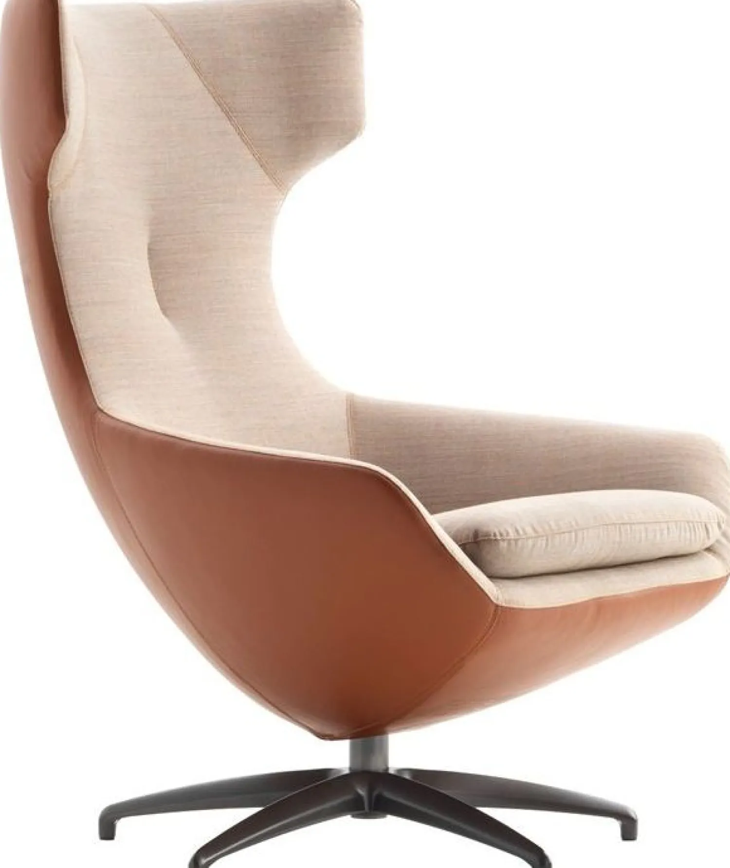 Leren Fauteuils|Design Fauteuils-Leolux Caruzzo Fauteuil Bruin