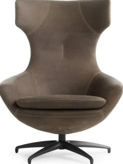 Leren Fauteuils|Design Fauteuils-Leolux Caruzzo Fauteuil Bruin