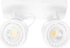 Lichtbronnen|Lichtbronnen-Zuiver Dice-2 Spot Wit