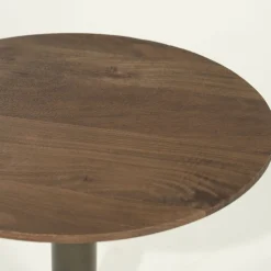 Houten Salontafels-Eleonora Esila Salontafel Bruin