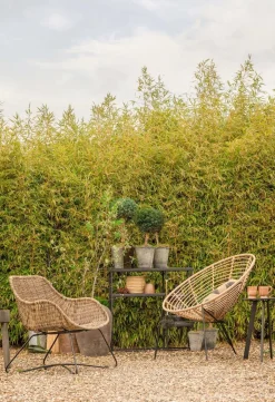 Tuintafels|Industriële Bijzettafels-WOOOD Fer Tuin Bijzettafel Black