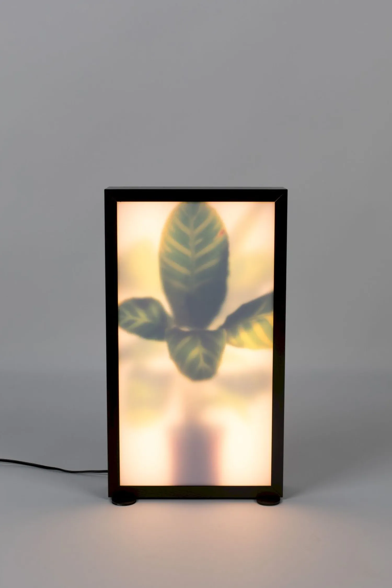 Moderne Vloerlampen|Vloerlampen-Zuiver Grow M Vloerlamp Black