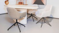 Eetkamerstoelen Met Armleuning-Eijerkamp Collectie Ids Eetkamerstoel Beige