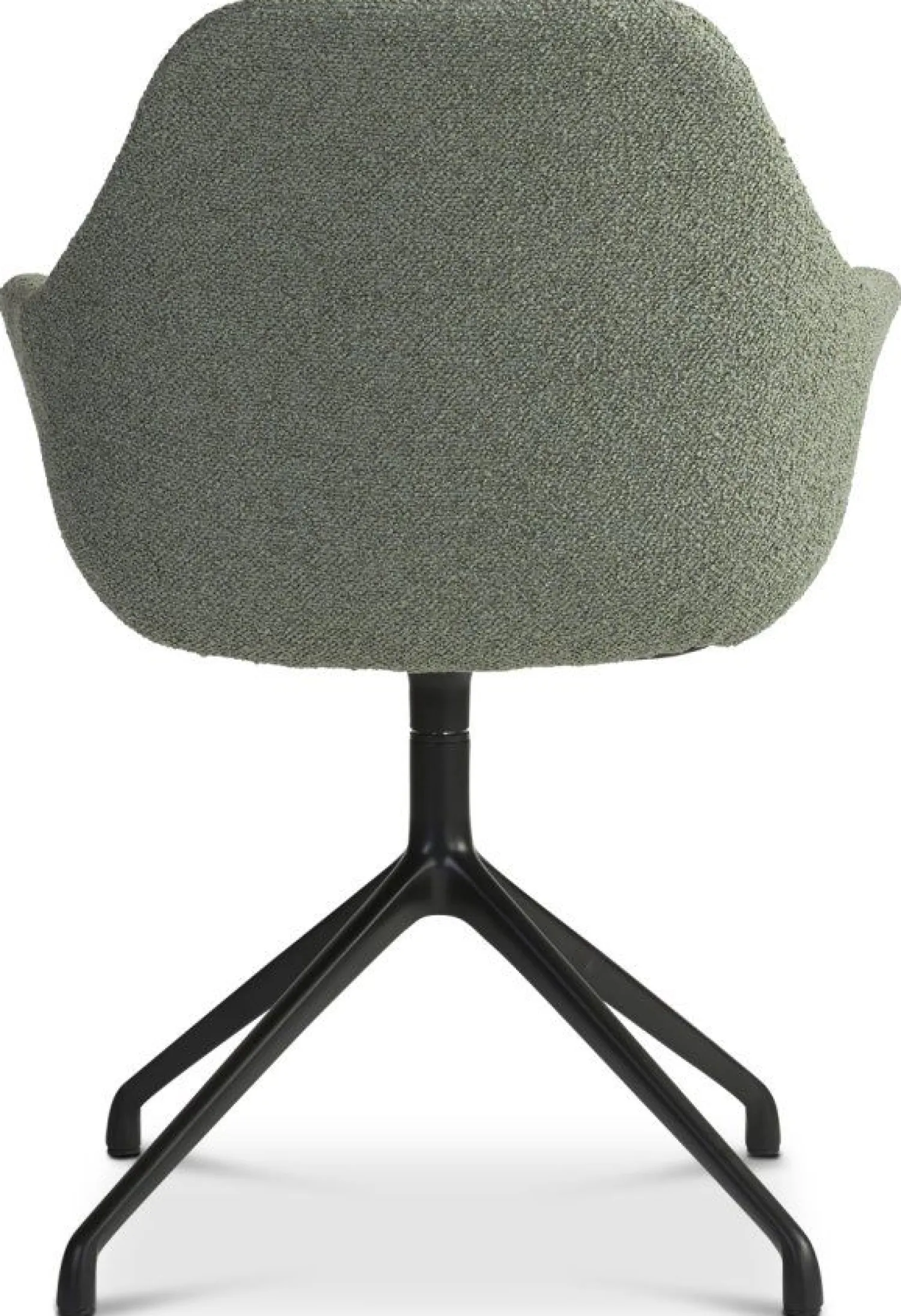 Eetkamerstoelen Met Armleuning-Eijerkamp Collectie Ids Eetkamerstoel Light Green