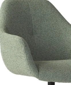 Eetkamerstoelen Met Armleuning-Eijerkamp Collectie Ids Eetkamerstoel Light Green