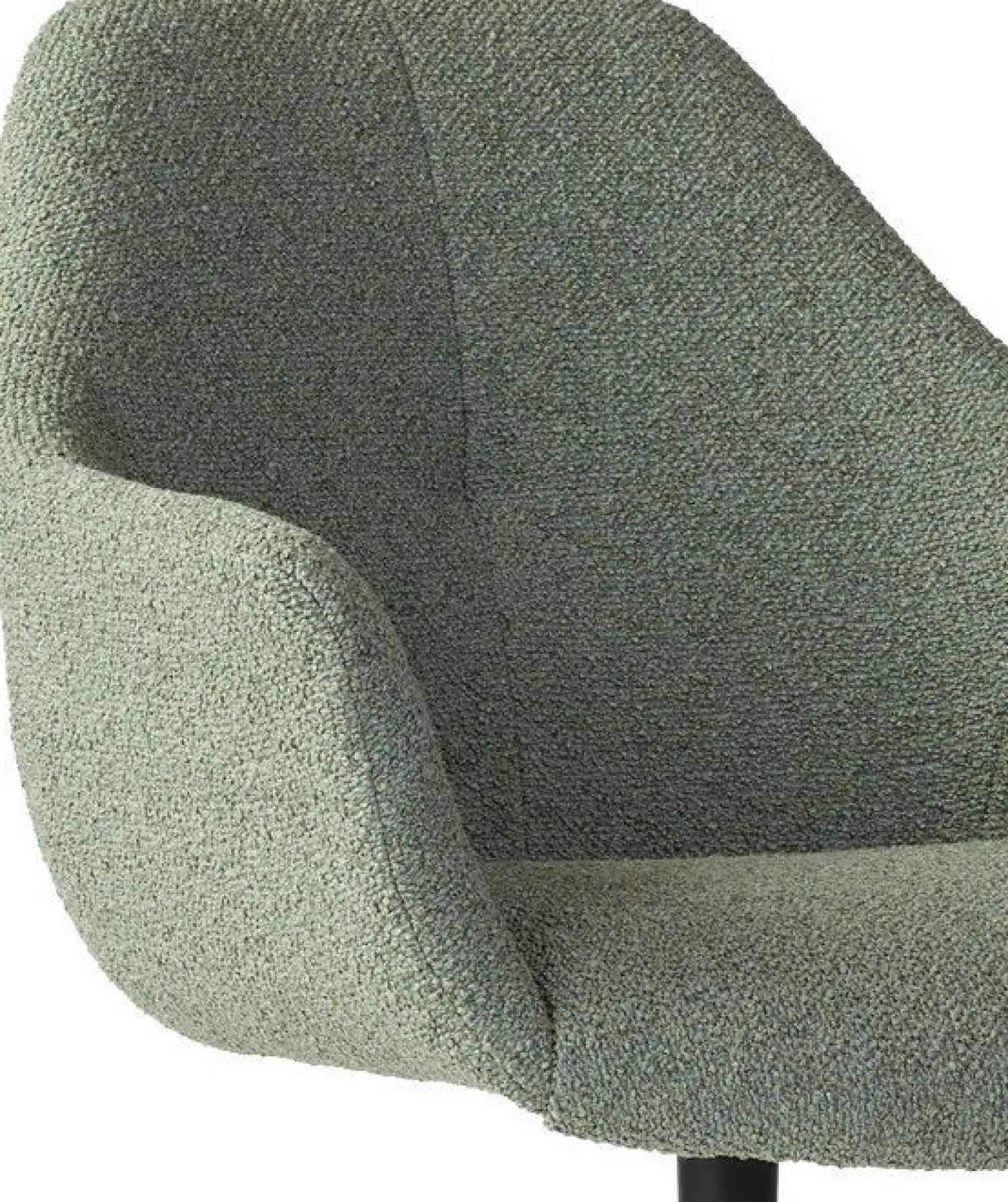 Eetkamerstoelen Met Armleuning-Eijerkamp Collectie Ids Eetkamerstoel Light Green