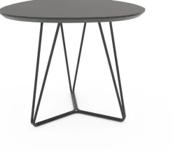 Organische Salontafels-Eijerkamp Collectie Kember Bijzettafel Bruin