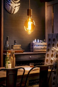 Lichtbronnen|Lichtbronnen-Calex LED Lamp Lichtbron goud