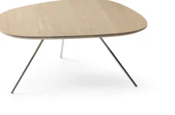 Design Salontafels|Organische Salontafels-Leolux Liliom Salontafel Black Glos