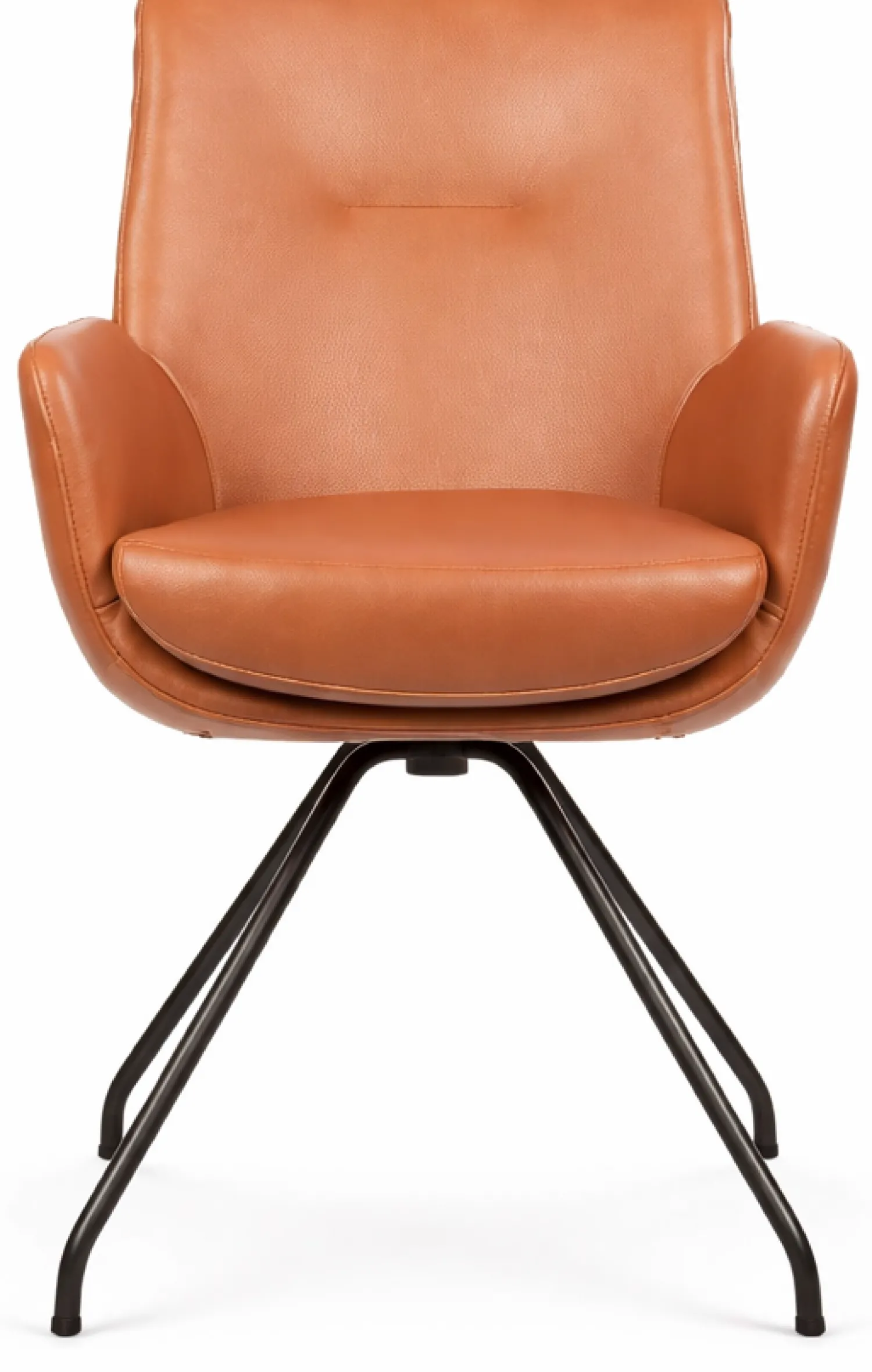 Eetkamerstoelen Met Armleuning-Movani Lisanne Eetkamerstoel Cognac, Lichtbruin