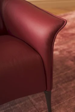 Design Fauteuils-Leolux Mayuro Fauteuil