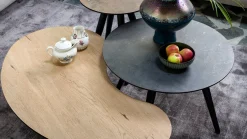 Organische Salontafels-Henders en Hazel Maze Nier M Salontafel Railway Brown