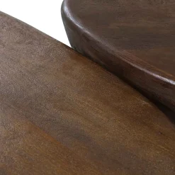 Houten Salontafels|Organische Salontafels-Eleonora Mila Salontafel Bruin