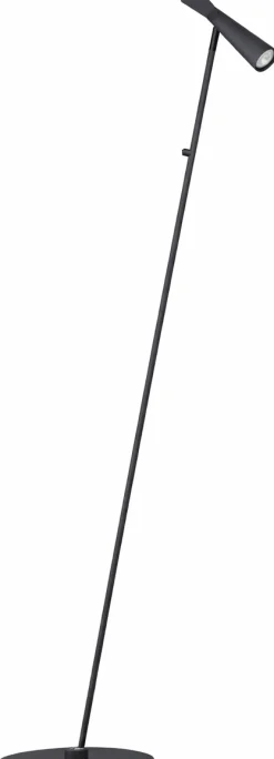 Industriële Vloerlampen|Vloerlampen-Eijerkamp Collectie Pisa Vloerlamp Zwart