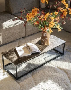 Marmeren Salontafels-Eleonora Rico Rechthoek Salontafel Zwart, Bruin