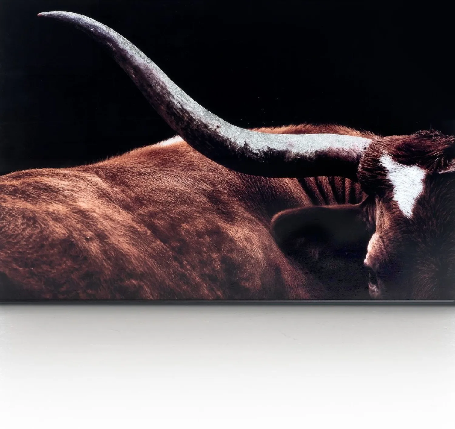 Wanddecoraties-COCO maison Rodeo Schilderij Zwart, Bruin