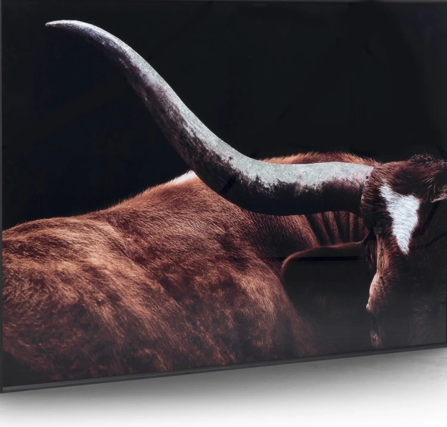 Wanddecoraties-COCO maison Rodeo Schilderij Zwart, Bruin