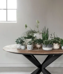Houten Eettafels|Ronde Eettafels-DTP Home Shape Rond Eettafel Bruin