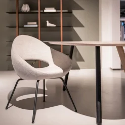 Eetkamerstoelen Met Armleuning|Design Stoelen-Artifort Shark Eetkamerstoel Grijs