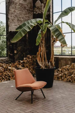 Draaifauteuils-Eijerkamp Collectie Sunny Fauteuil Bruin