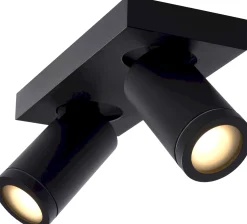 Industriële Plafondlampen|Plafondlampen-Lucide Taylor Plafondlamp Zwart