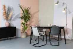 Eetkamerstoelen Met Armleuning-Zuiver Thirsty (set van 2) Armstoel Ash Grey