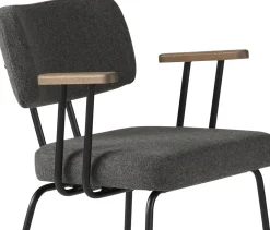 Eetkamerstoelen Met Armleuning-Eijerkamp Collectie Tom Onderstel Zwart Armstoel Antracite, Tabacco