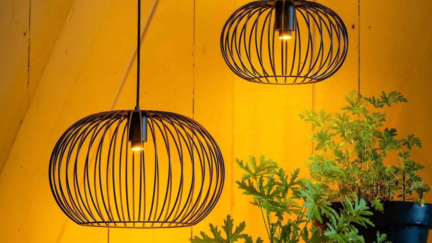 Industriële Plafondlampen|Plafondlampen-Eijerkamp Collectie Wire 2.0 Plafondlamp Zwart