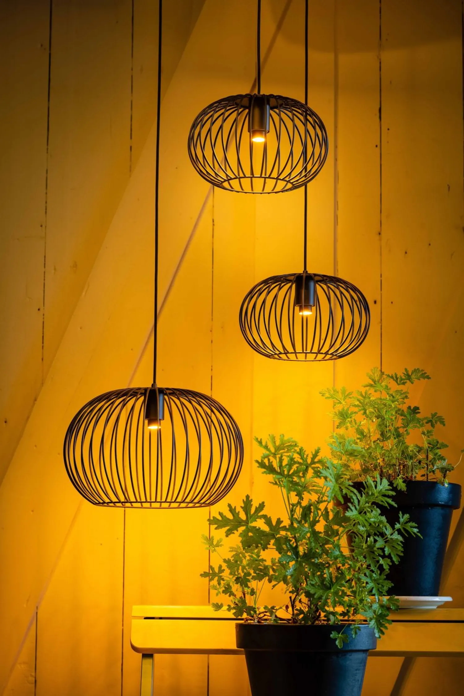 Industriële Plafondlampen|Plafondlampen-Eijerkamp Collectie Wire 2.0 Plafondlamp Zwart