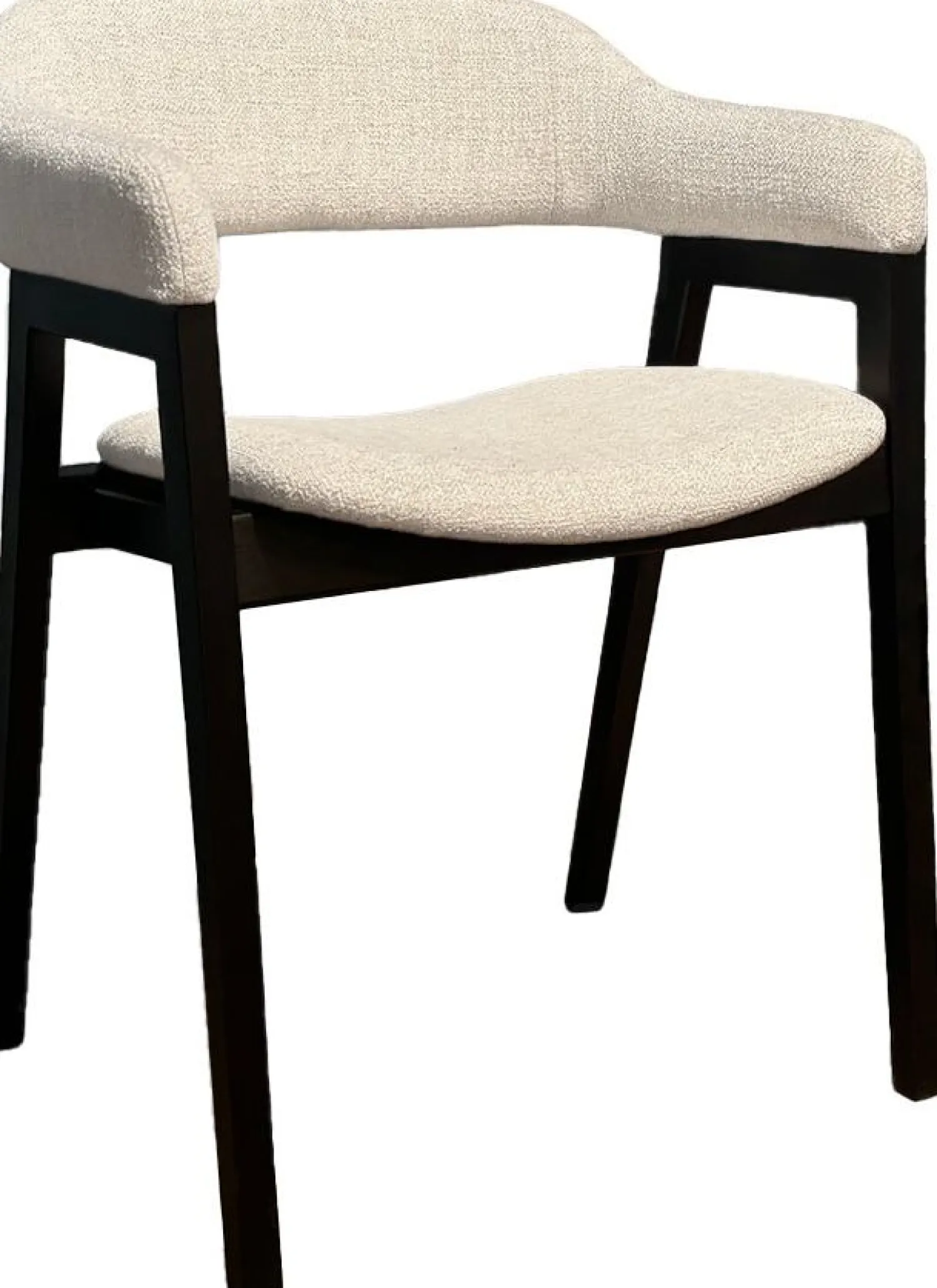 Eetkamerstoelen Met Armleuning-Eijerkamp Collectie Zara Eetkamerstoel Zwart, Wit